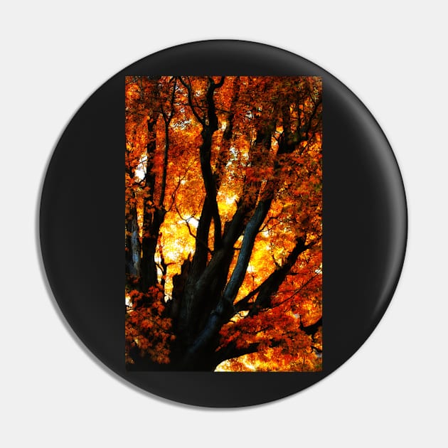 Autumn Elegy Pin by photoclique