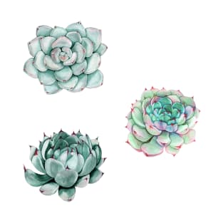 Succulent stickers T-Shirt