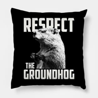 Respect The Groundhog Ground Hog Day Pillow