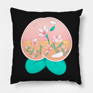 Peach Pillow