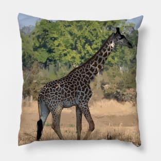 Zambia giraffe Pillow