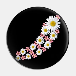 daisy flower, blooming daisies, pink blooms, blossoms Pin