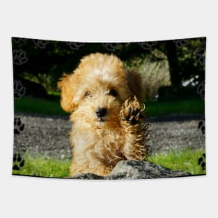 Toy Poodle Puppy Tapestry