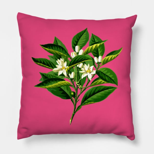 Gardening Pillow by isstgeschichte