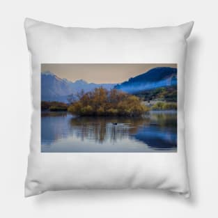 Serene Swan: A Majestic Sight in Glenorchy Pillow