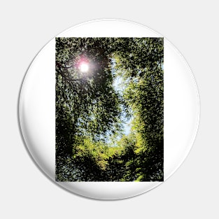 Sun Through The Trees Pin