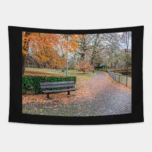 Empty bench in public park in autumn Tapestry