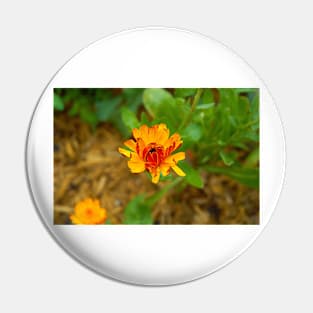 Orange Daisy Bloom Pin