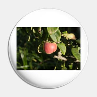 alb red apple Pin