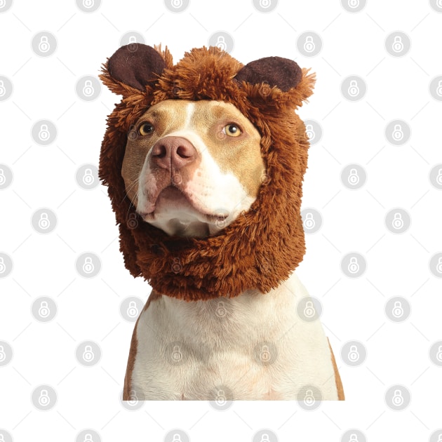 Photograph of cute brown and white american pit bull terrier wearing brown costume by keeplooping