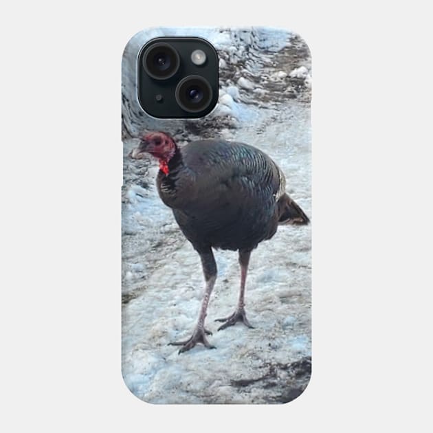 Curious Turkey Phone Case by etherealwonders