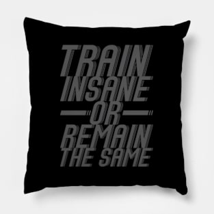 Train Insane Or Remain The Same Workout Pillow