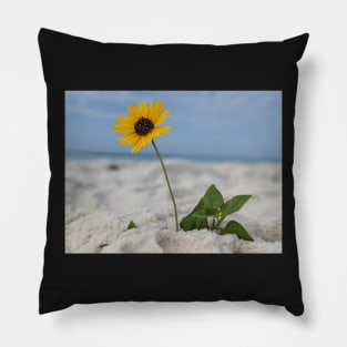 Yellow Flower in The Sand 1 Pillow