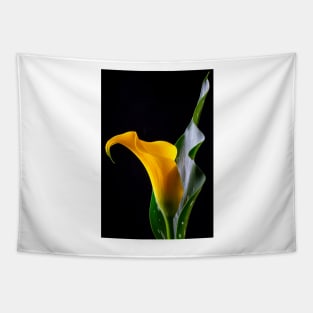 Yellow Calla Lily With Leaf Tapestry