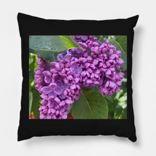 The Magic Scent of the Lilac Flower Pillow