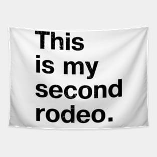 "This is my second rodeo." in plain white letters - cos you're not the noob, but barely Tapestry