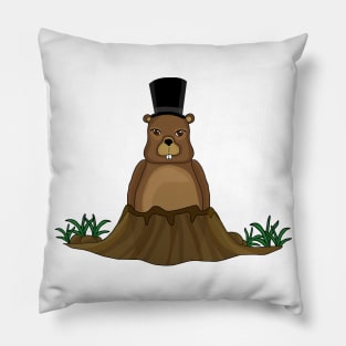 Groundhog Pillow