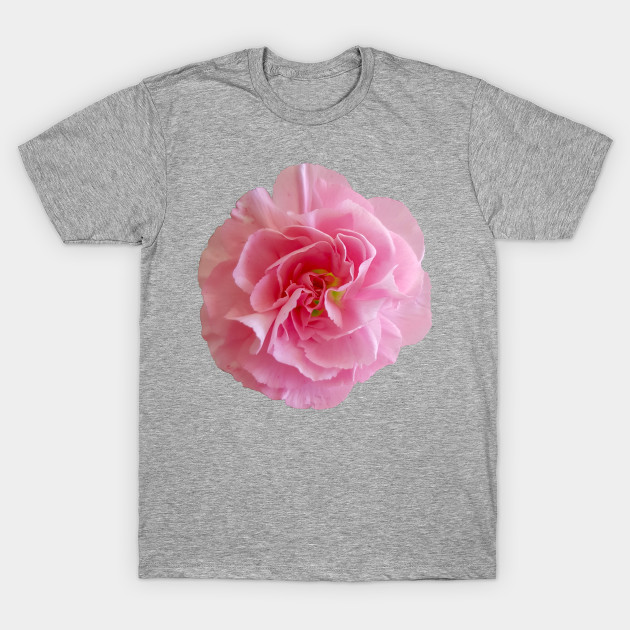 Pink Carnation Photo - Flower - T-Shirt | TeePublic