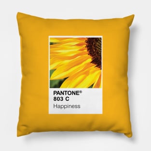Color Swatch - Happiness Pillow