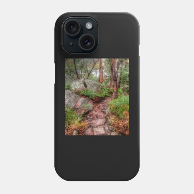 Split Rock at Oatley Park Phone Case by Michaelm43