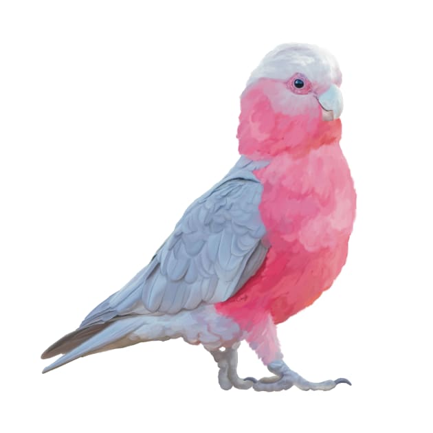 Australian Pink and Grey Galah. Strutting his stuff! Beautiful australian parrot. Original artwork by PlumpPlumStudio