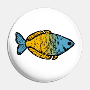 Rainbowfish - freshwater aquarium fish Pin