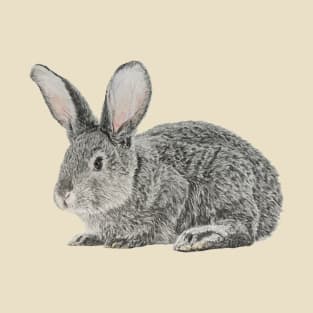 Rabbit Drawing T-Shirt