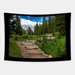 Colorado (Rocky Mountain National Park) Tapestry