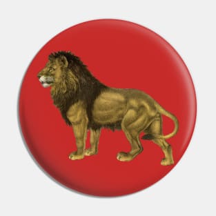 Impressive Male Safari Lion Pin