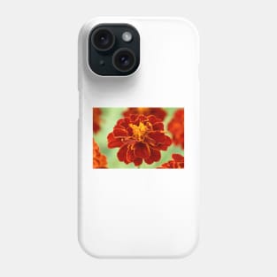 Tagetes patula &#39;Red Cherry&#39; French marigold Phone Case