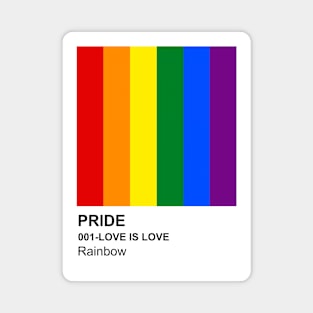 Pride Rainbow Magnet