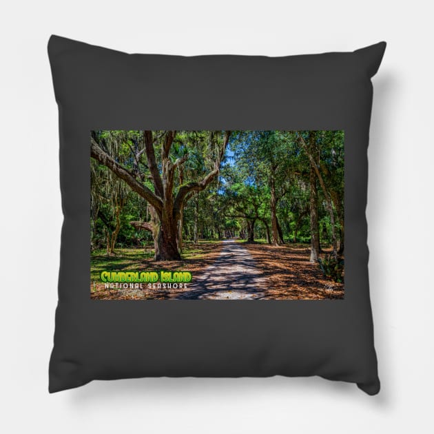 Cumberland Island National Seashore Pillow by Gestalt Imagery