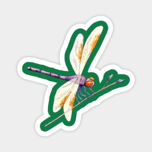 Whimsical Gold and Purple Dragonfly and Twig on Green Magnet