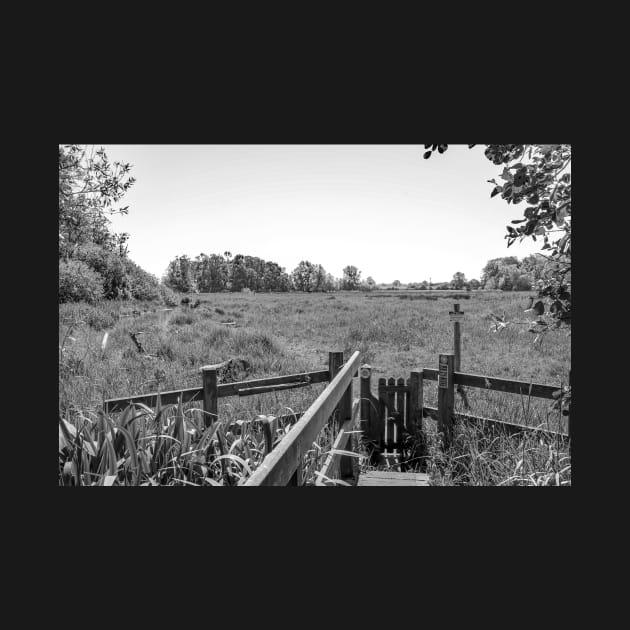 Wooden gate in the English countryside by yackers1