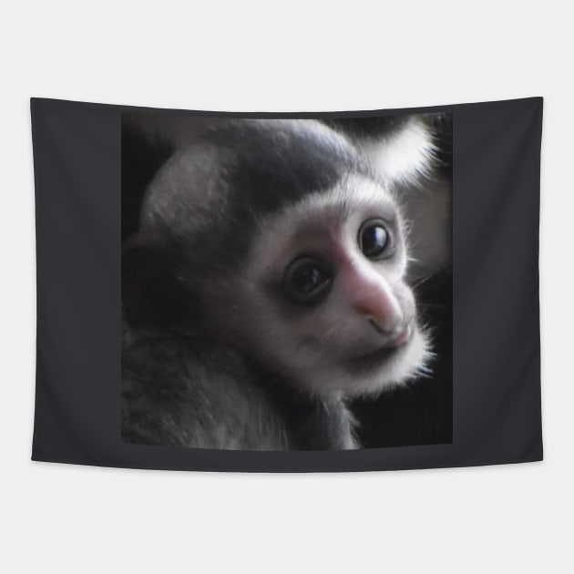 Colobus Monkey baby Tapestry by Sharonzoolady