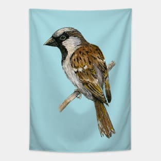 House sparrow colored ink drawing Tapestry