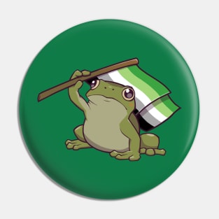 Aromantic Pride Flag-Holding Frog Pin