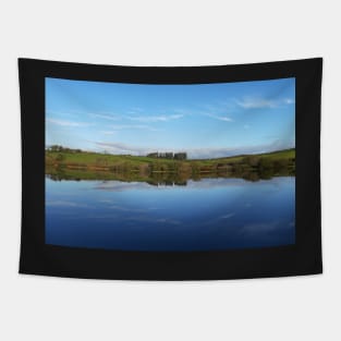 Trees and Blue Sky Reflections in Water Tapestry