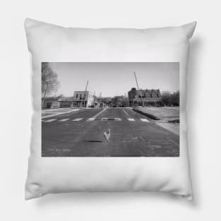 Why Did The Chicken Cross The Road.... - Black And White Pillow