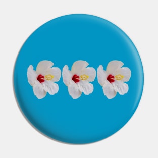 Three White Hibiscus Flowers Floral Photo Pin