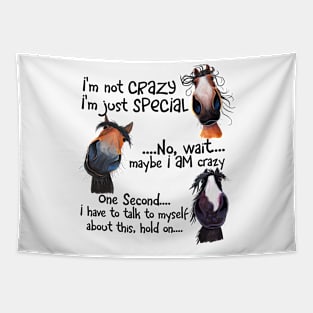 Funny Horse I'm Not Crazy I'm Just Special Tapestry