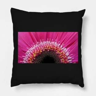 A Study of the Gerbera Pillow