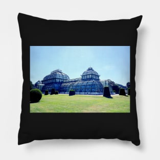 Greenhouse Pillow