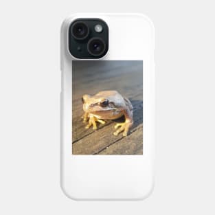 Golden Frog  - by Avril Thomas Phone Case