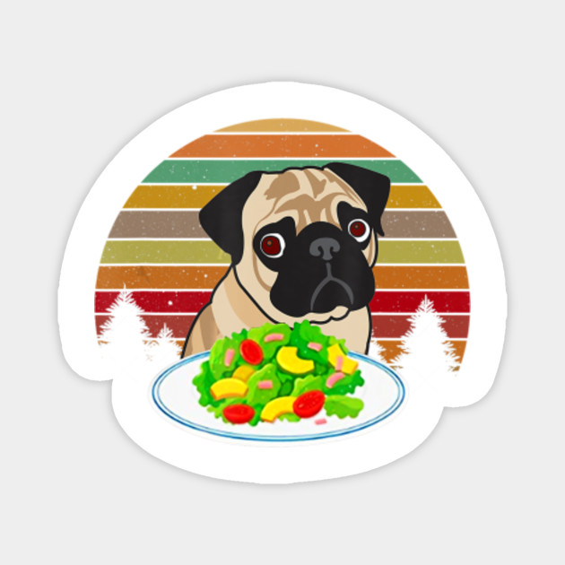 Angry Women Yelling At Confused Cat At Dinner Table Meme Pug