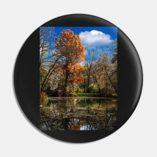 Pond, beautiful fall colors Pin