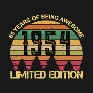 65 Years Of Being Awesome Limited Edition 65th Birthday Gift T-Shirt