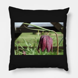 Leper Lily Pillow