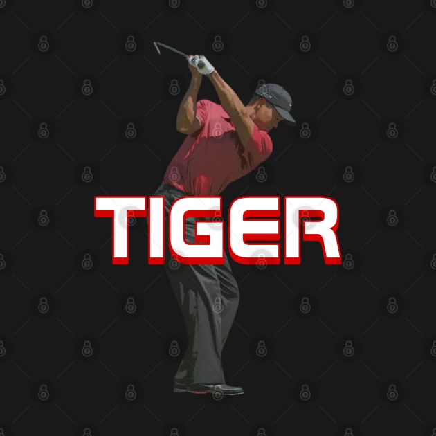 Tiger Woods Swing by YungBick