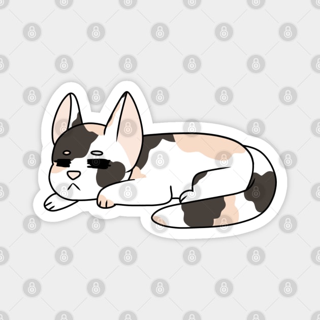 Sleeping Calico Kitten Magnet by WhiteRabbitWeirdo